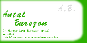 antal burszon business card